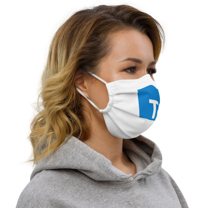 "TYPESCRIPT" Premium face mask The Developer Shop