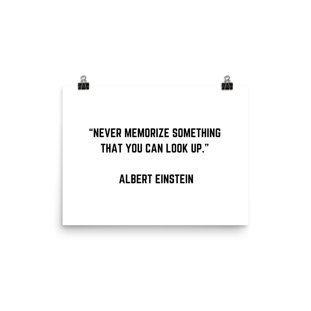 "ALBERT EINSTEIN" Poster The Developer Shop